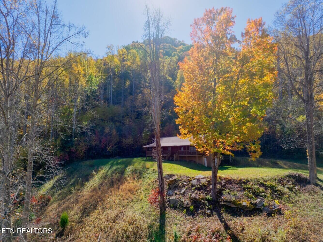 193 Smith Branch Road Roan Mountain, TN 37687 - Photo 8 of 46 680f9187c904f