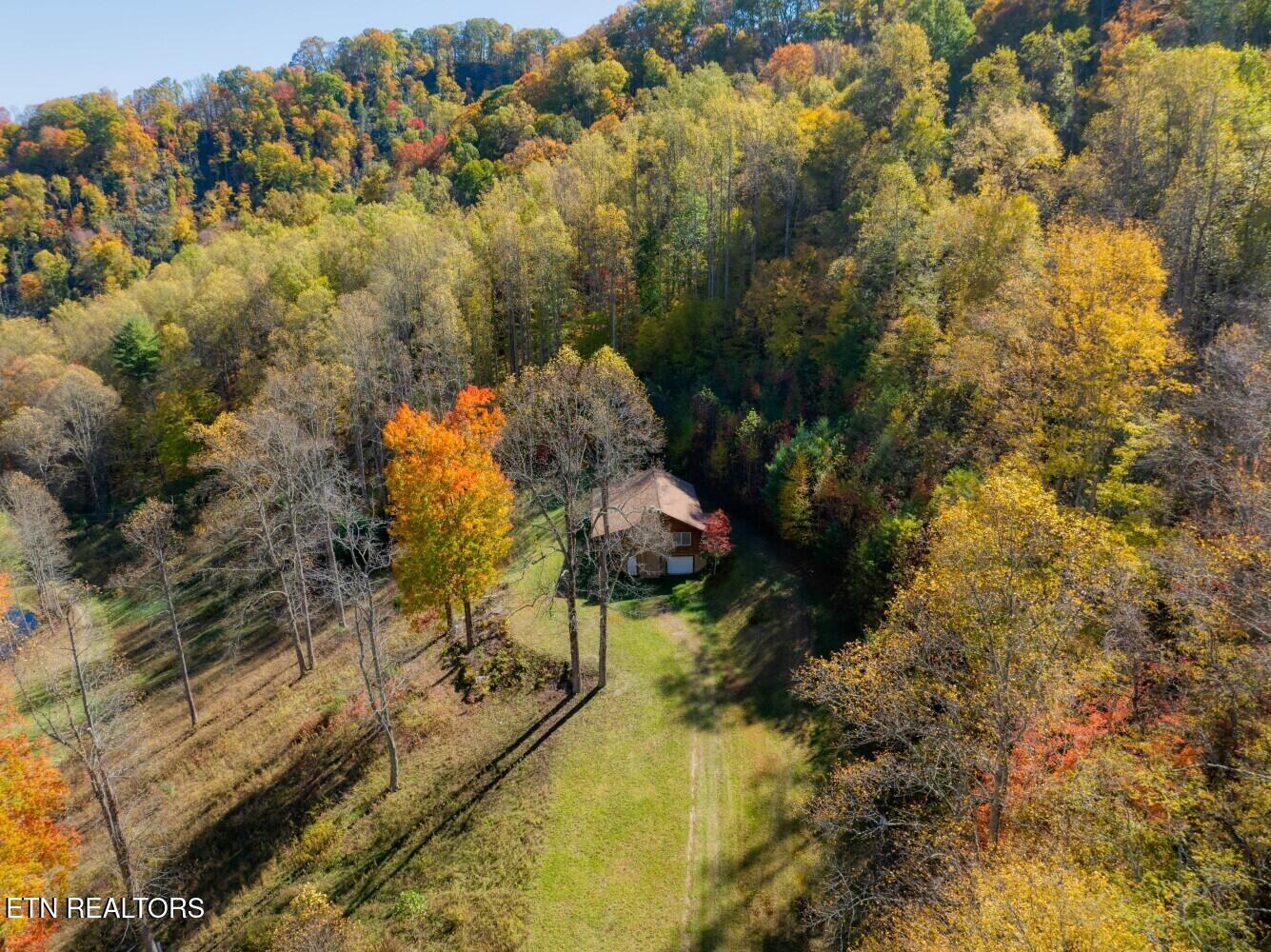 193 Smith Branch Road Roan Mountain, TN 37687 - Photo 9 of 46 680f919c06b95