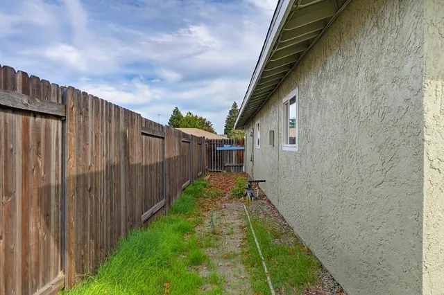 a view of a park with large trees
