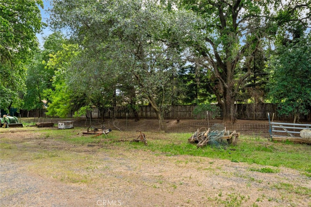 200 Speedway Chico, CA 95928 - Photo 18 of 24 a backyard of a house with lots of trees and plants