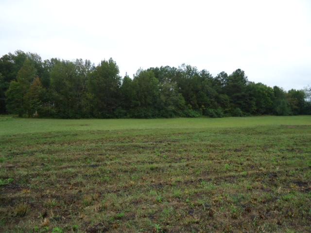 1 Cedar Hill Road Ardmore, AL 35739 - Photo 3 of 5
