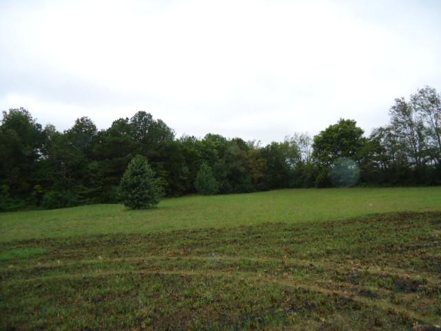 1 Cedar Hill Road Ardmore, AL 35739 - Photo 4 of 5