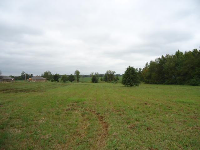 1 Cedar Hill Road Ardmore, AL 35739 - Photo 5 of 5