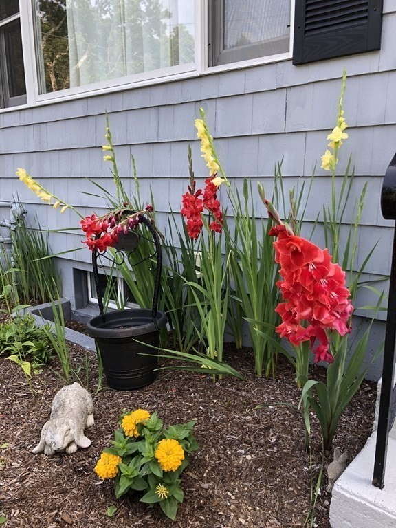 1 Spring Lane Hopkinton, MA 01748 - Photo 5 of 31