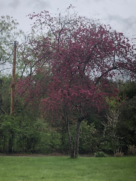 1 Spring Lane Hopkinton, MA 01748 - Photo 9 of 31
