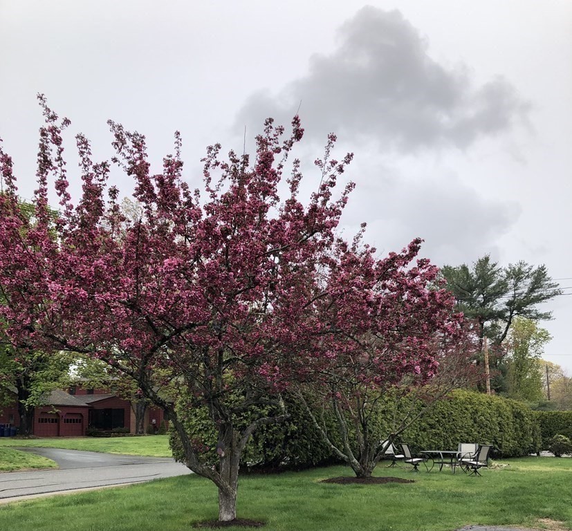 1 Spring Lane Hopkinton, MA 01748 - Photo 10 of 31