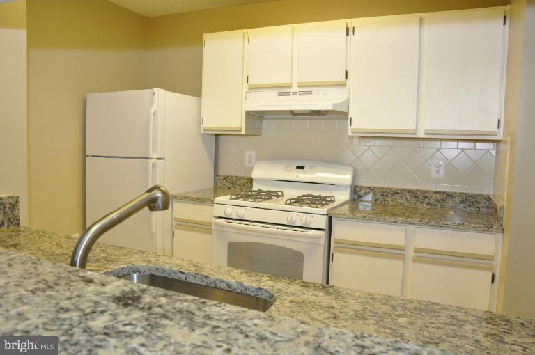 21029 Timber Ridge Terrace, Unit 304 Ashburn, VA 20147 - Photo 1 of 20 Kitchen Features Granite Countertops, New Applianc