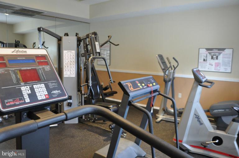 21029 Timber Ridge Terrace, Unit 304 Ashburn, VA 20147 - Photo 8 of 20 Club House Exercise Room