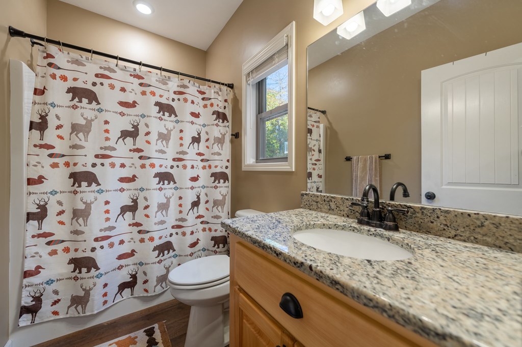 44 Lower Toccoa Hills Road Blue Ridge, GA 30513 - Photo 17 of 36 a bathroom with a granite countertop sink a toilet and a mirror