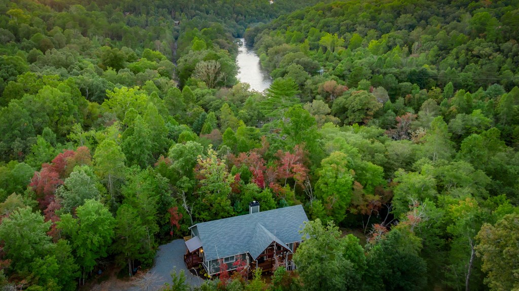 44 Lower Toccoa Hills Road Blue Ridge, GA 30513 - Photo 4 of 36 an aerial view of a house with yard