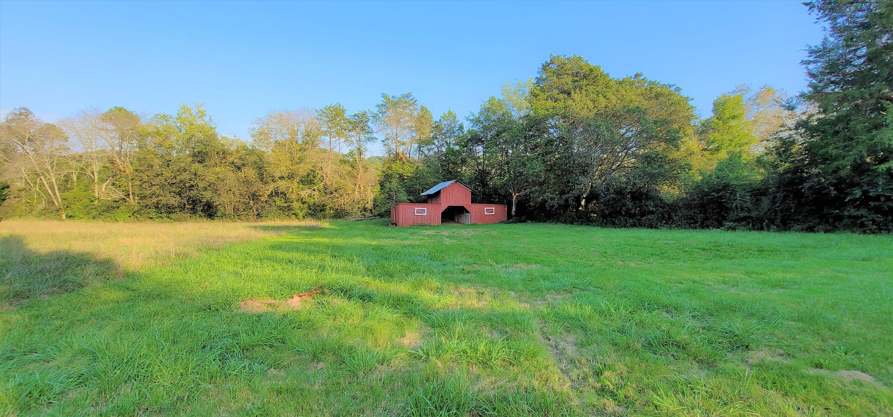 1750 Slygo Road Trenton, GA 30752 - Photo 23 of 28 Backyard View