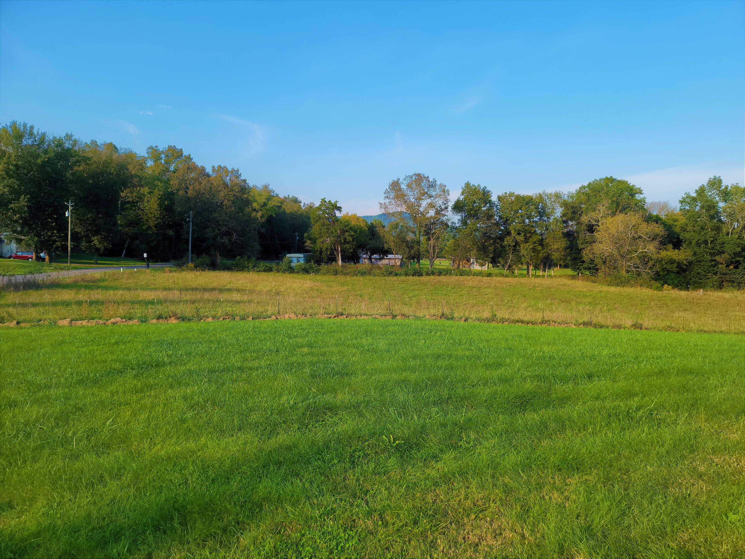 1750 Slygo Road Trenton, GA 30752 - Photo 27 of 28 Lot View - Side