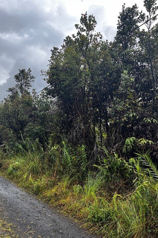 49 Pilo Street Pahoa, HI 96778 - Photo 2 of 5