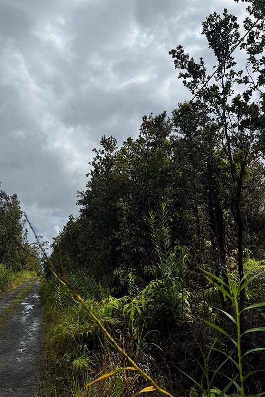 49 Pilo Street Pahoa, HI 96778 - Photo 5 of 5