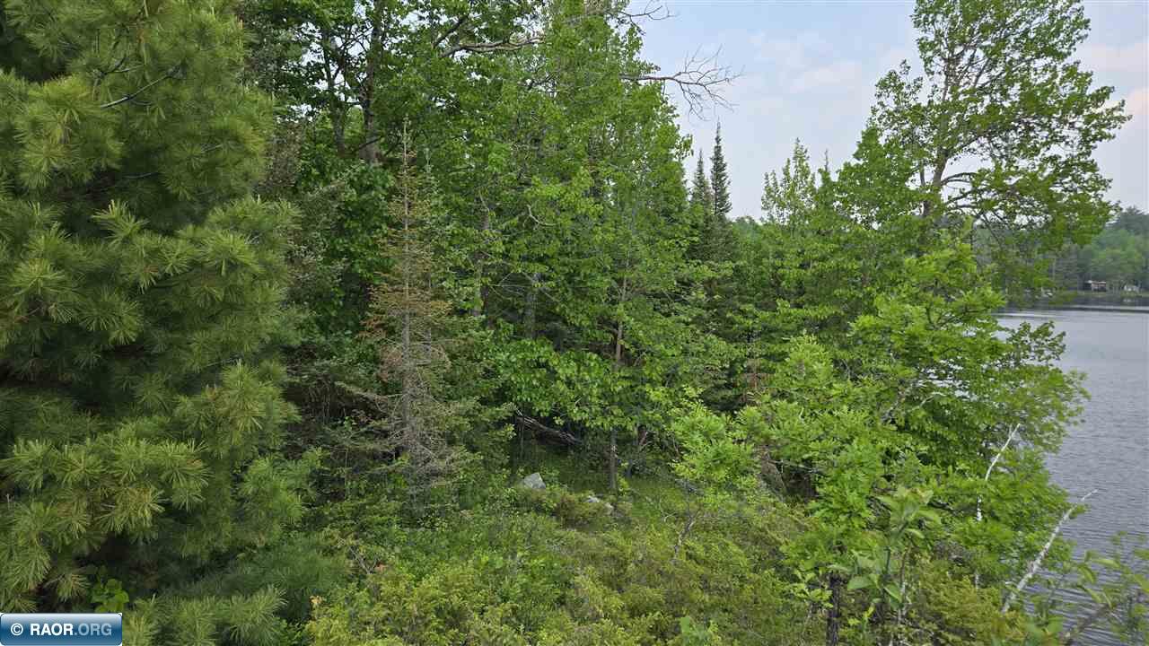 11.85 Bessette Road Orr, MN 55771 - Photo 29 of 50