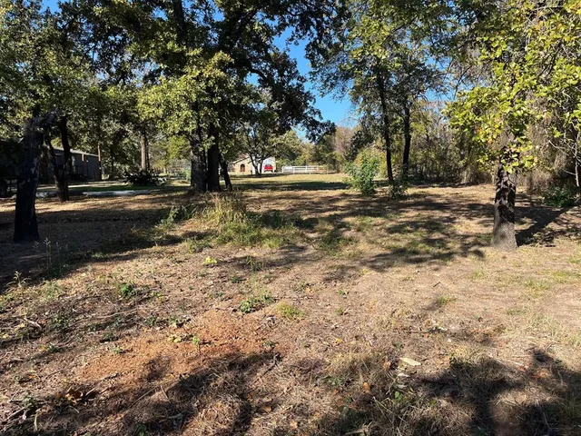 a view of road and trees