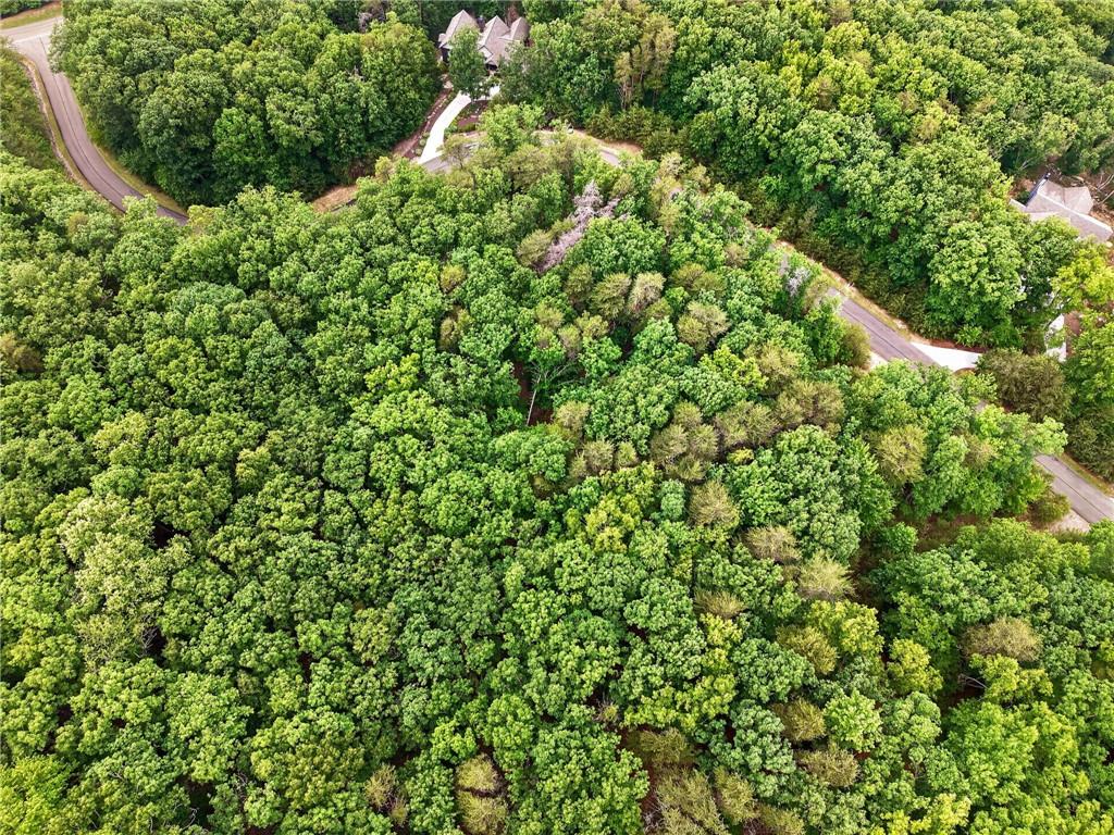 0 Ridgeside Court Jasper, GA 30143 - Photo 16 of 22 a view of a lush green forest with lots of trees
