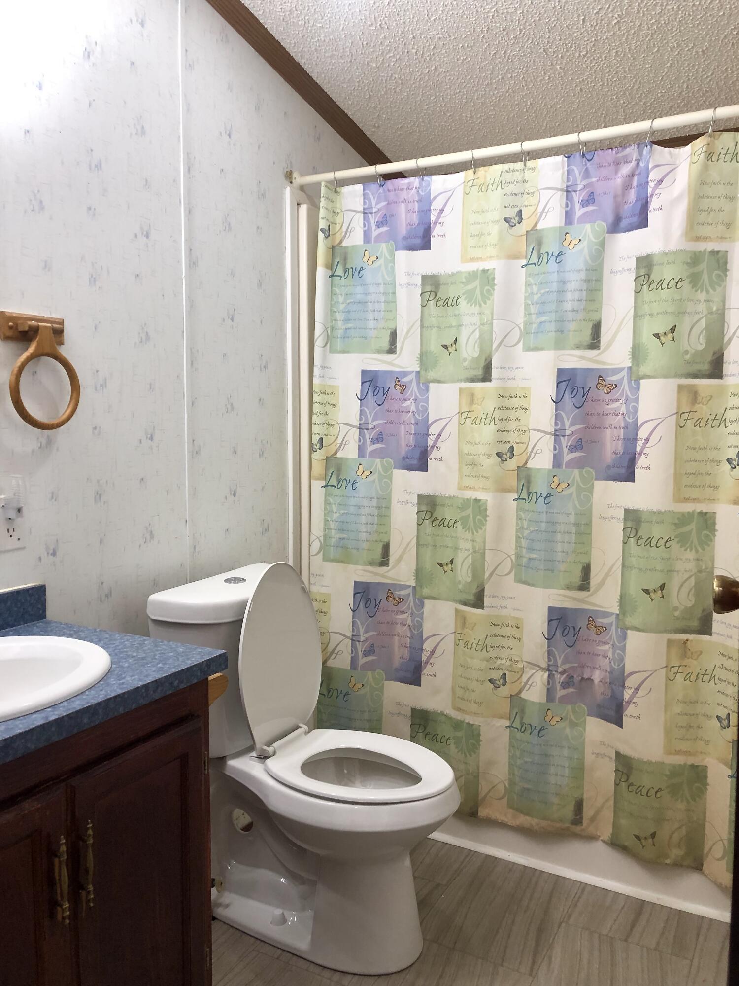 303 North Erie Street Three Rivers, MI 49093 - Photo 11 of 11 Bathroom #2