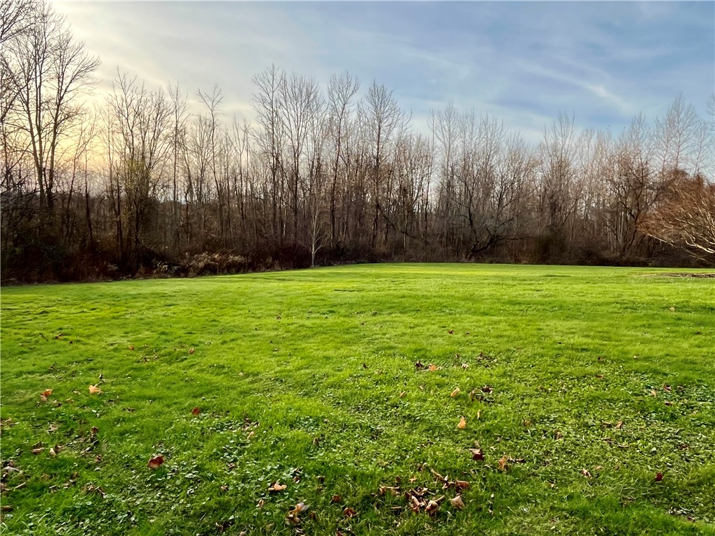 11834 Tellier Road Wolcott, NY 14590 - Photo 5 of 42 Nice lawn and a trail thru the woods to the windin