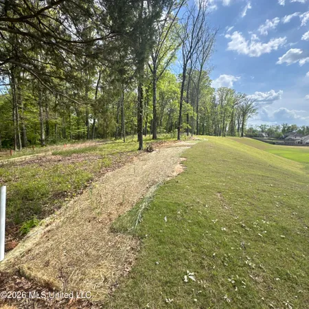 $564,900 | 8593 Gwin Hollow, Olive Branch, MS 38654