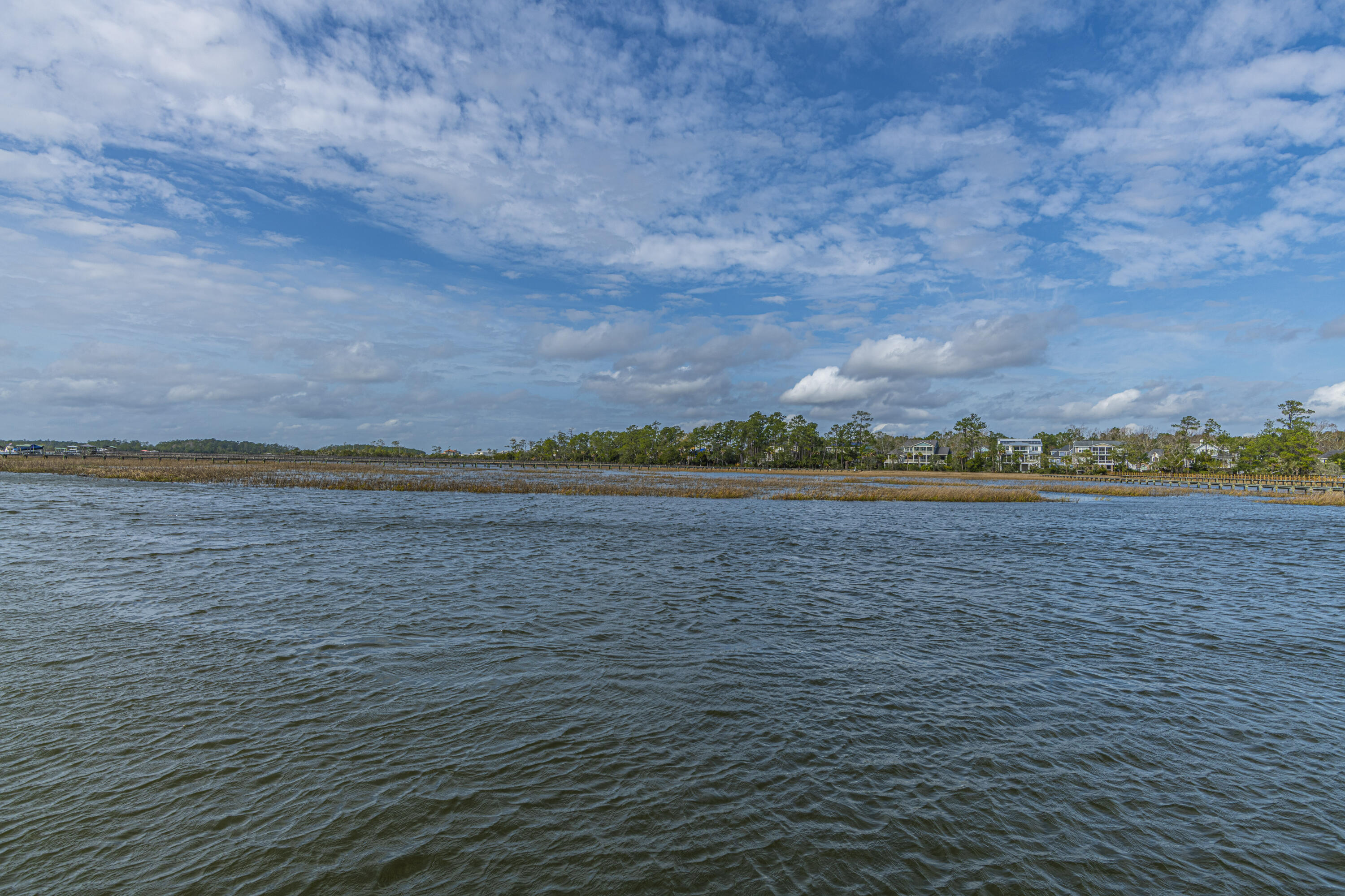 2801 Rosedown Point Mount Pleasant, SC 29466 - Photo 72 of 74