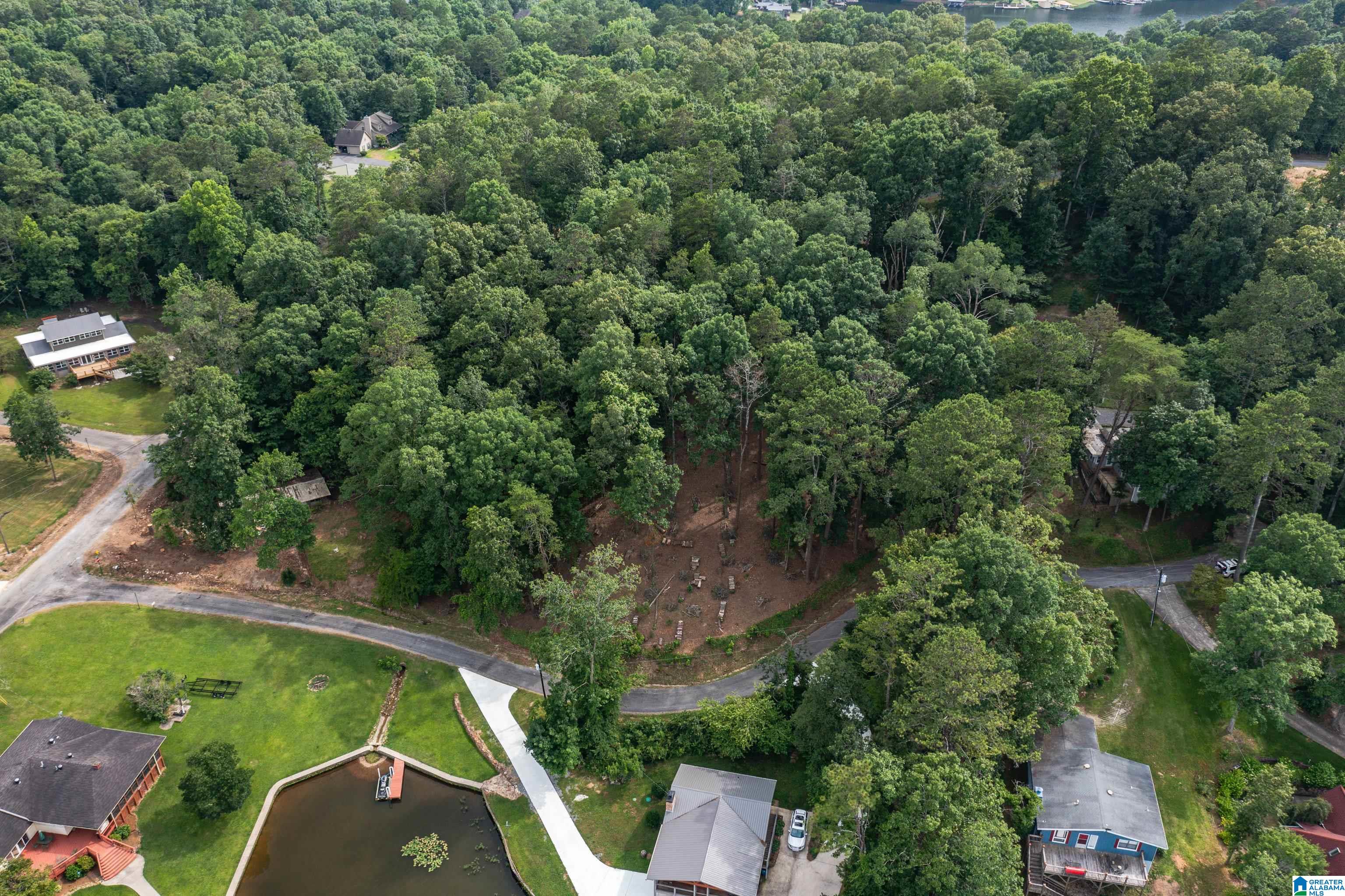 58 East Sunset Boulevard Oneonta, AL 35121 - Photo 23 of 40