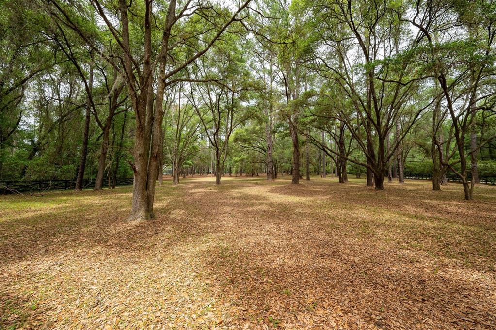 623 Southwest 93rd Street Gainesville, FL 32607 - Photo 96 of 100 Gallery Image 96