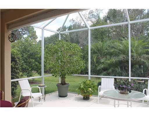 6560 Copper Ridge Trail University Park, FL 34201 - Photo 10 of 12 Lanai