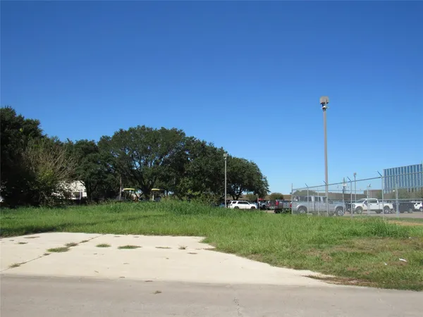 a view of a park with plants and palm trees