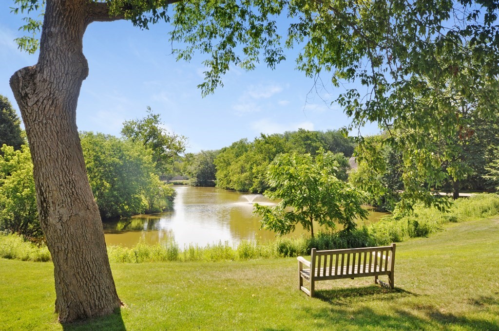 56 Potter Pond, Unit 56 Lexington, MA 02421 - Photo 41 of 42 Gallery Image 41