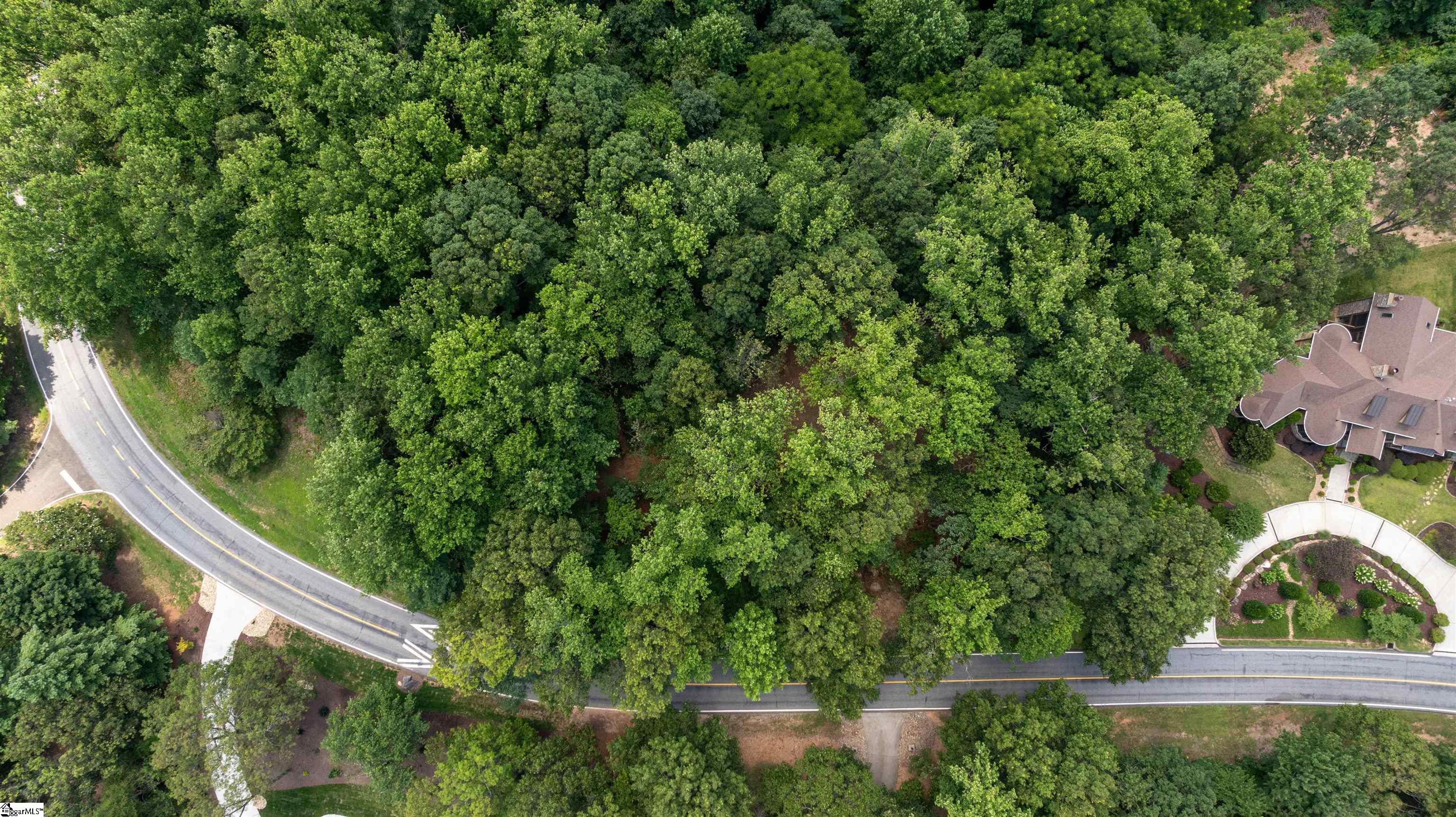 Lot 22 Plumley Summit Road Landrum, SC 29356 - Photo 13 of 27