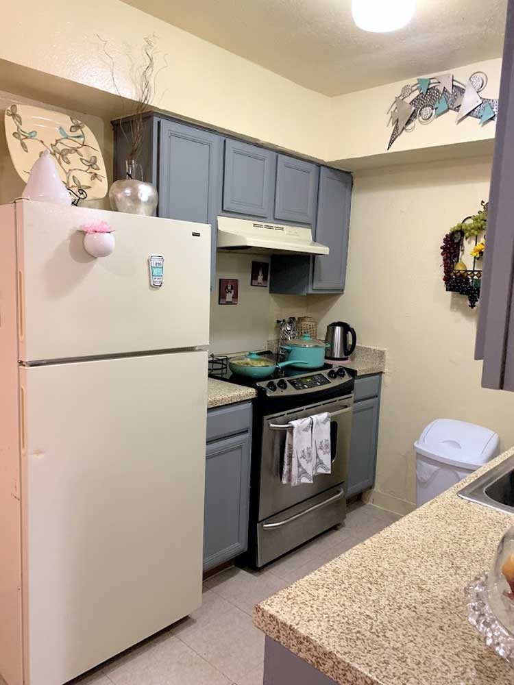 1355 North Jim Miller Road, Unit 121 Dallas, TX 75217 - Photo 3 of 18 Discount 200 Off from Rent