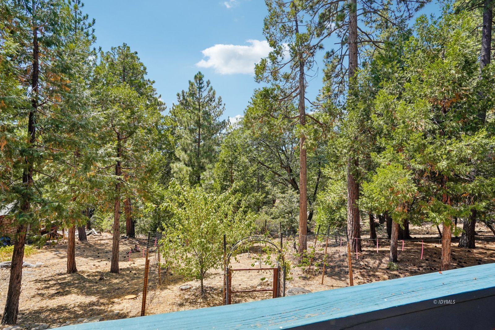 25447 Marion Ridge Drive Idyllwild, CA 92549 - Photo 28 of 41 Exterior