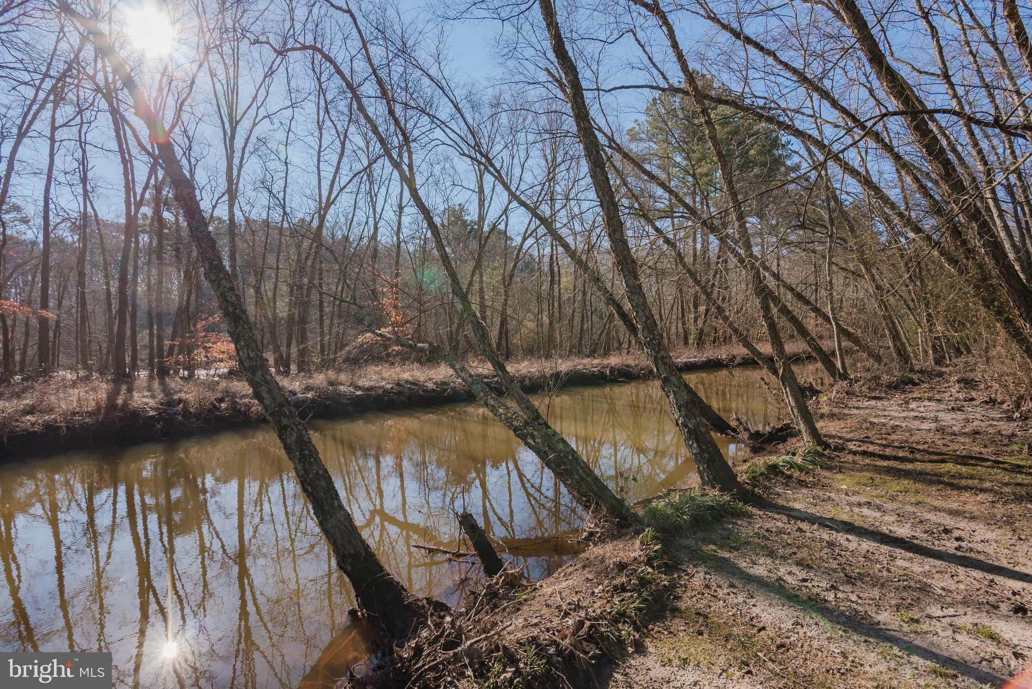 3605 Allen Road Eden, MD 21822 - Photo 5 of 73