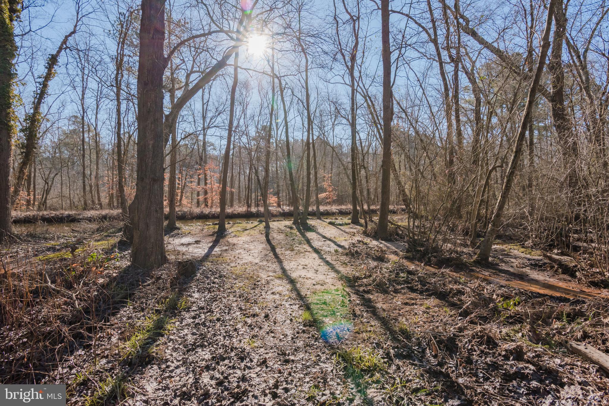 3605 Allen Road Eden, MD 21822 - Photo 69 of 73