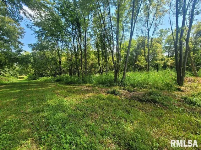 $32,900 | 0 North Hirons Street, Waltonville, IL 62894