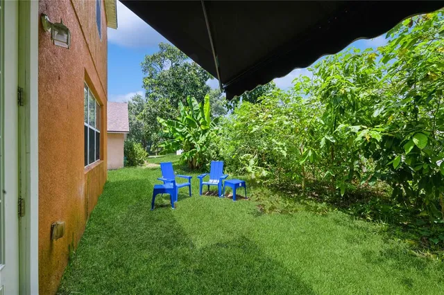 a view of a backyard with plants and a bench