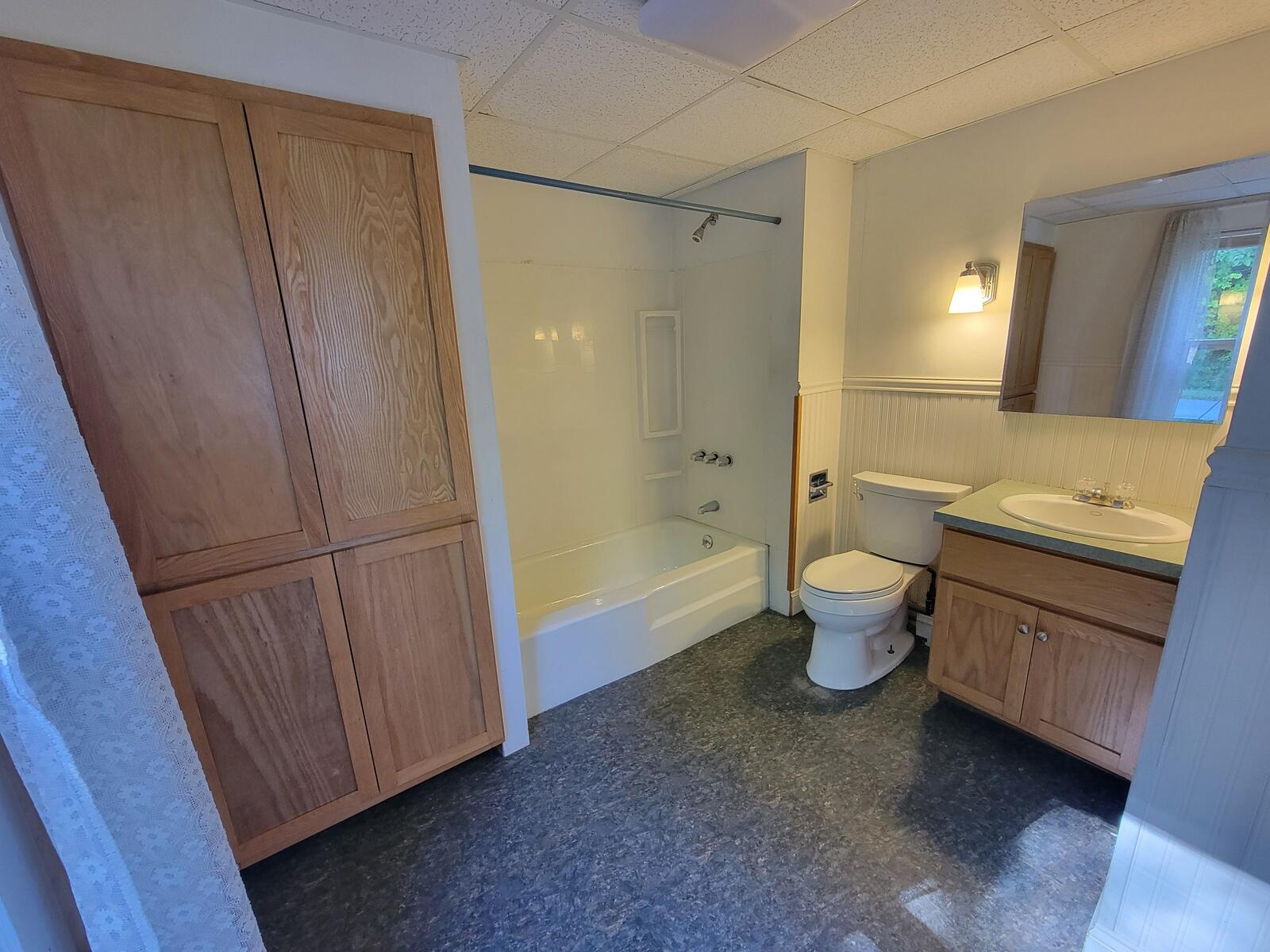 171 Magrath Road Wilton, ME 04294 - Photo 43 of 54 41-OH, Bathroom