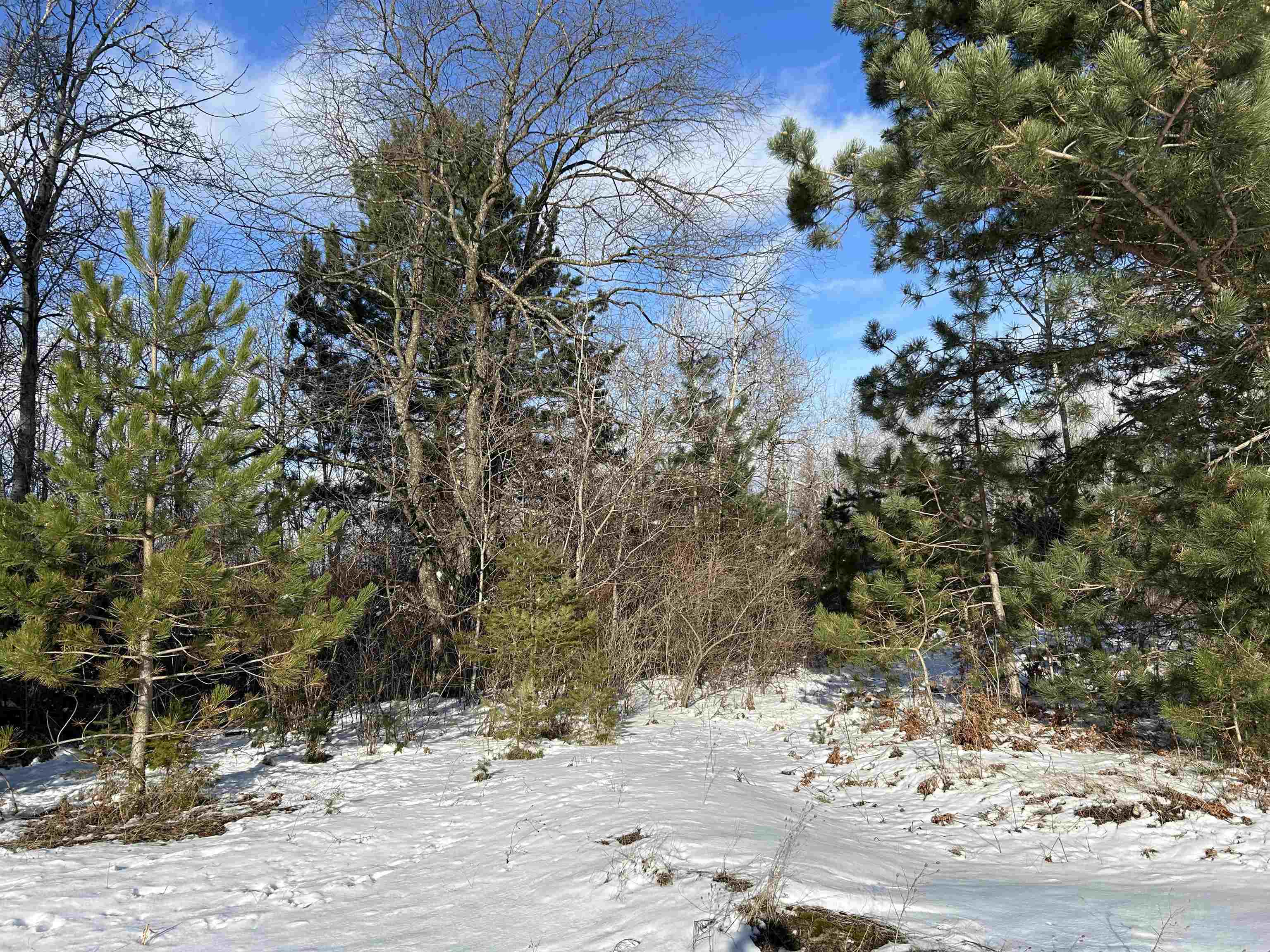 0 Platte Road Beulah, MI 49617 - Photo 2 of 7