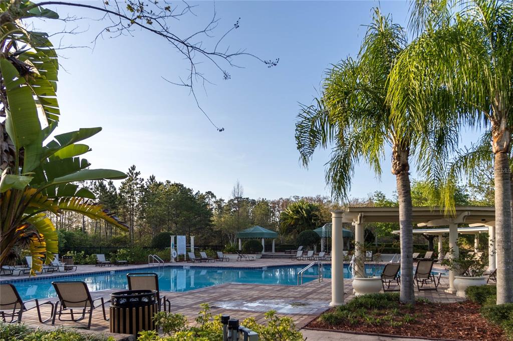 1041 Enclair Street Orlando, FL 32828 - Photo 50 of 62 a view of a swimming pool with a patio and a yard