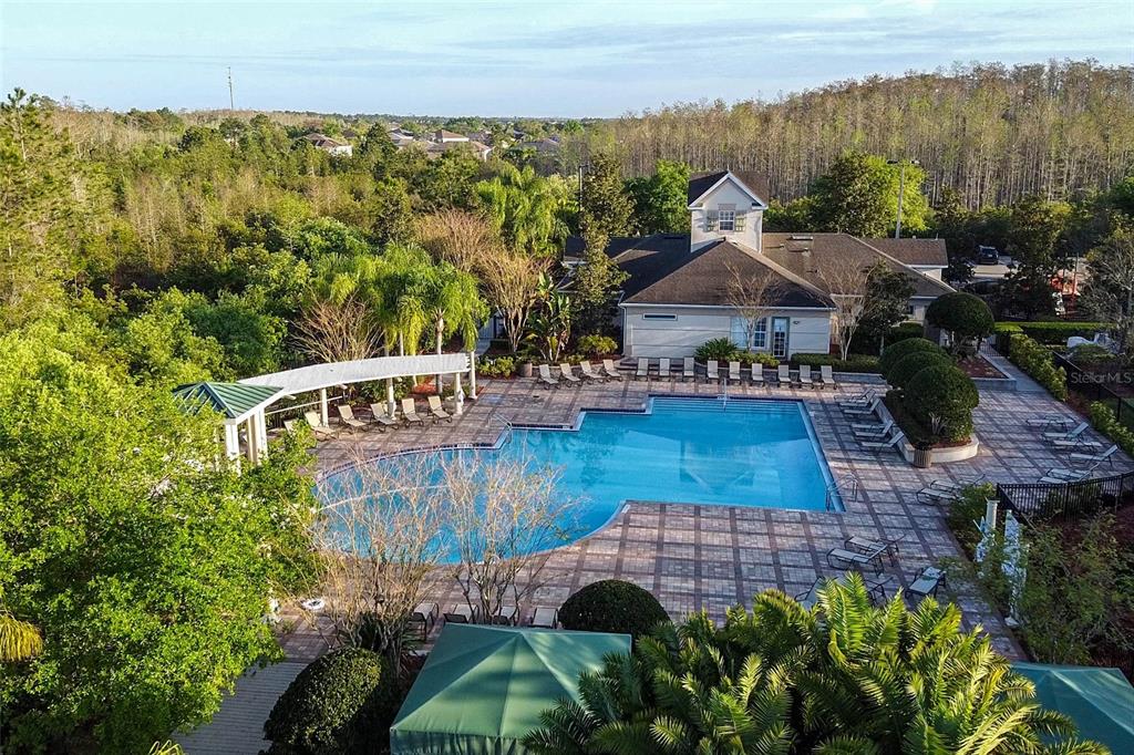 1041 Enclair Street Orlando, FL 32828 - Photo 60 of 62 a view of a garden with an ocean view