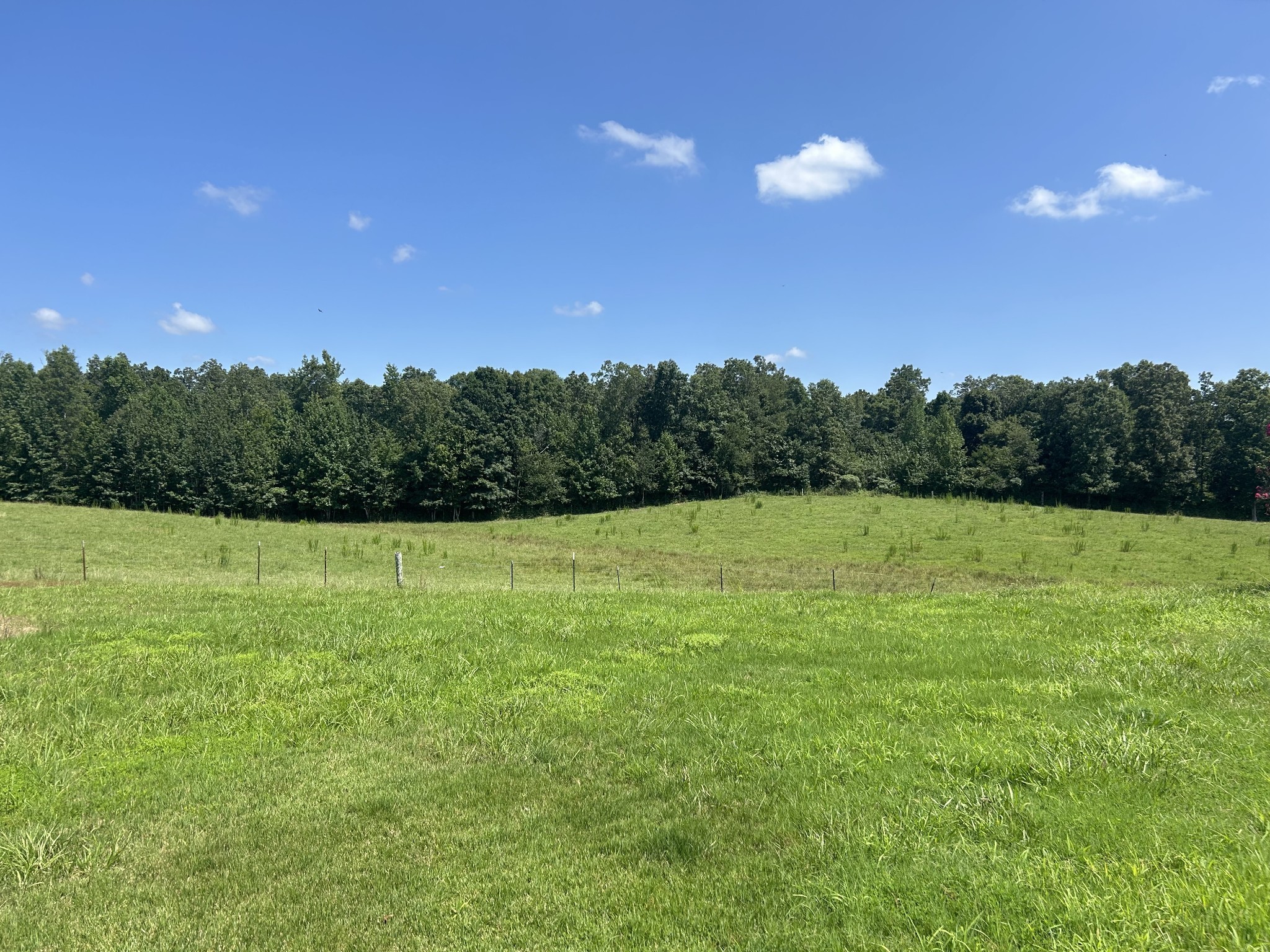 3421 George Olive Road Iron City, TN 38463 - Photo 5 of 51 a view of a green field
