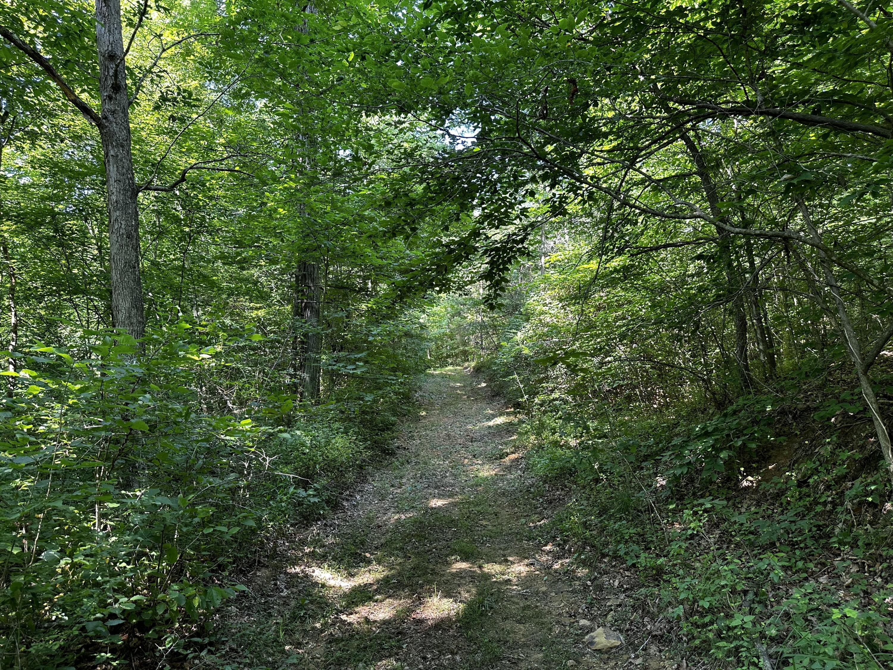 1101 Hull Road, Unit TRACT 9 WOODS WAYNE FOREST) Patriot, OH 45658 - Photo 28 of 61 20240621_150155926_iOS