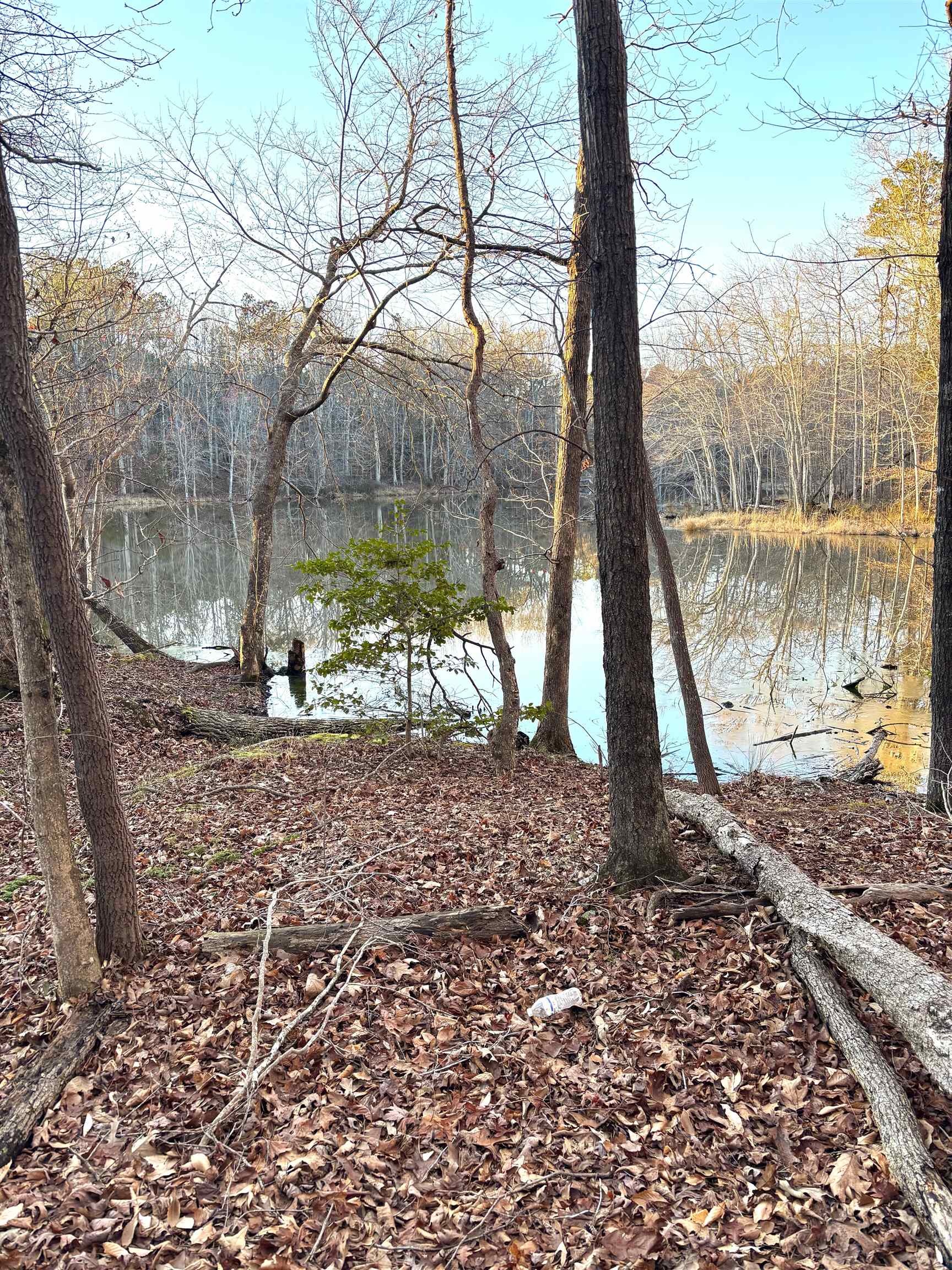 2771 Abercrombie Road Fountain Inn, SC 29644 - Photo 32 of 41 Gallery Image 32