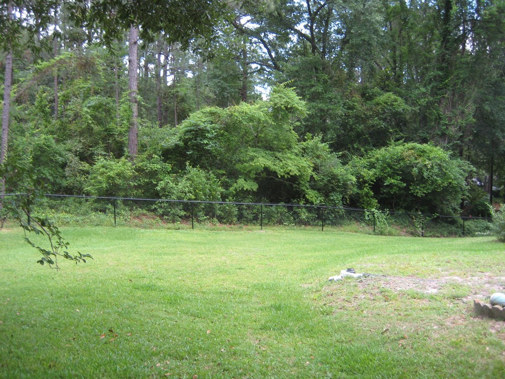 910 Wildwood Road Aiken, SC 29801 - Photo 8 of 8