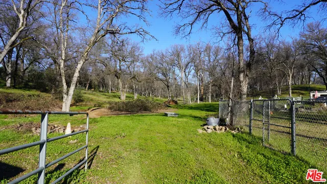 a view of a park with large trees