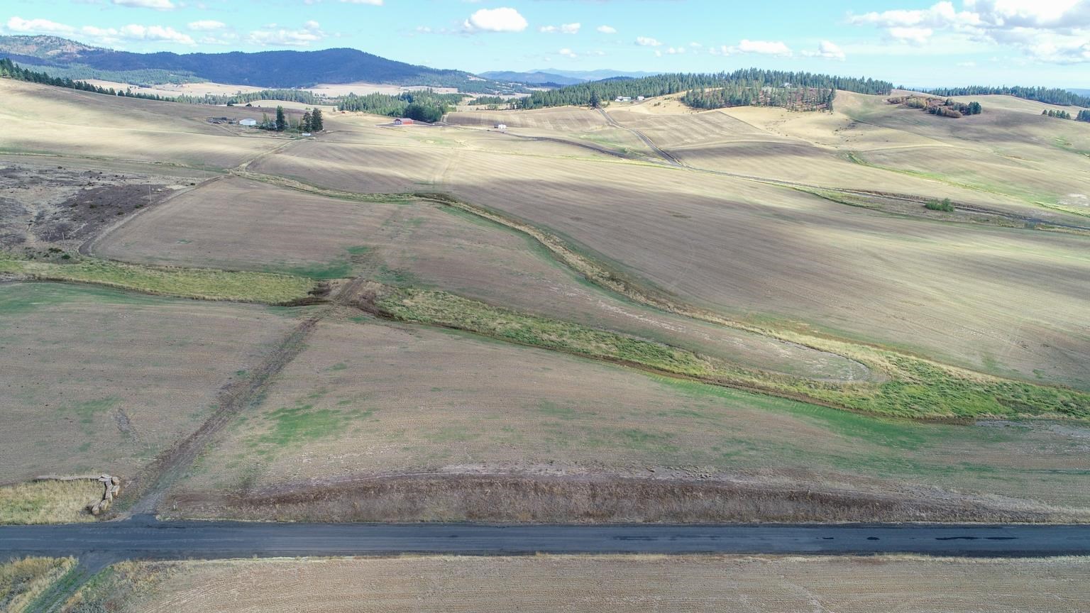 Nka South Starr Road, Unit LOT 2 Rockford, WA 99030 - Photo 4 of 9 Gallery Image 4