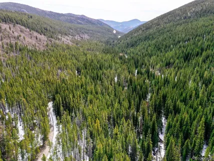 a view of a lush green hillside and a mountain