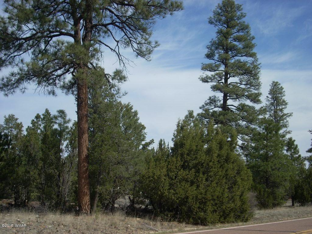 2970 Pine Rim Road Heber, AZ 85928 - Photo 1 of 16 a view of a tree in a yard next to a house