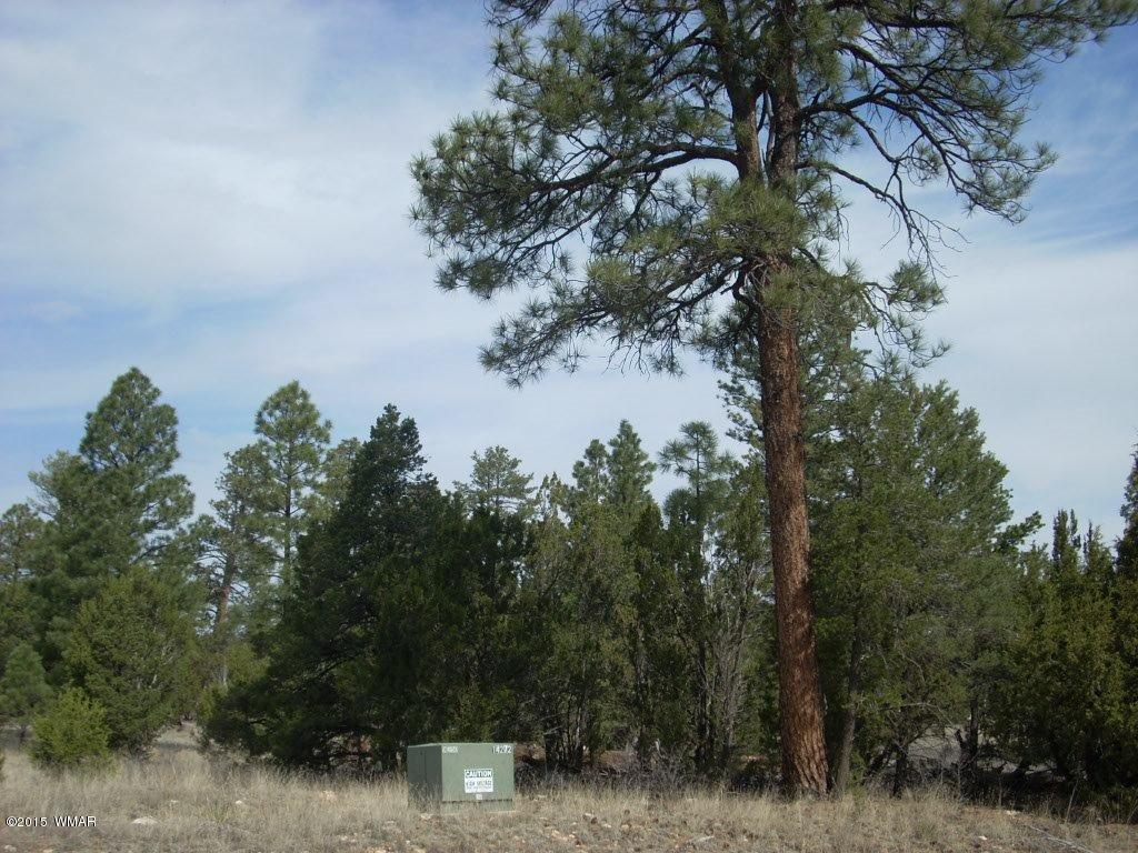 2970 Pine Rim Road Heber, AZ 85928 - Photo 13 of 16 a backyard of a house with lots of green space